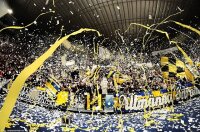 Premium throwing rollers - yellow