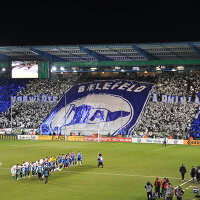 Metallic Foil Flag in Portrait Format 75x50 Silver