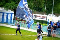 Telescopic pole standard 2m