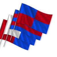 Waving flags according to pattern